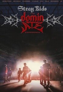 Stray Kids: The Dominate Experience